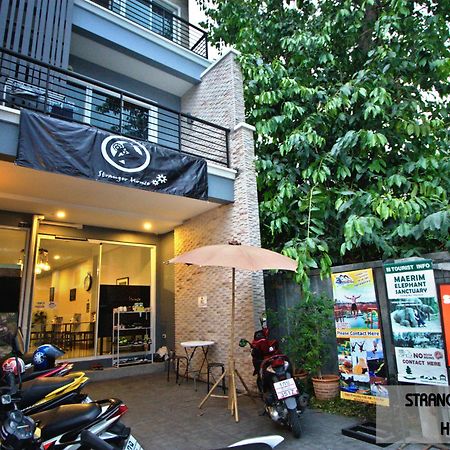Stranger House Hostel Chiang Mai Buitenkant foto